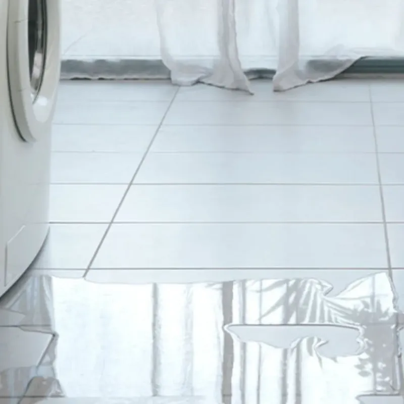 Appliance Leak Cleanup in Roland, OK