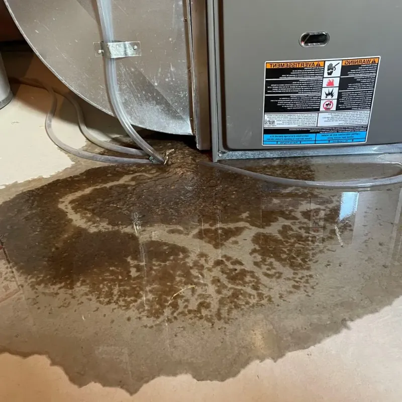 Pipe Burst and Leak Restoration in Roland, OK