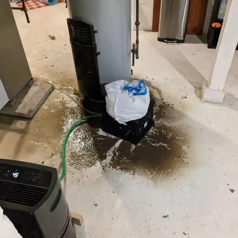 Sewage Backup Cleanup Service in Roland, OK